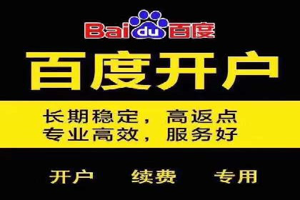 百度推广的ROI优化：成功企业案例解析